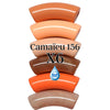 Camaieu 156- Lot mixte de 6 tubes incurvés 12MM